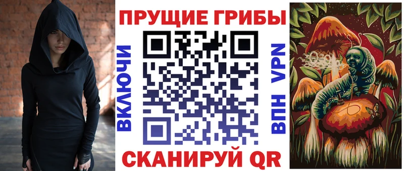 Галлюциногенные грибы Psilocybine cubensis Североморск